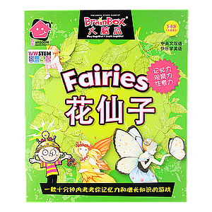 BRAINBOX FAIRIES BOOK BOX